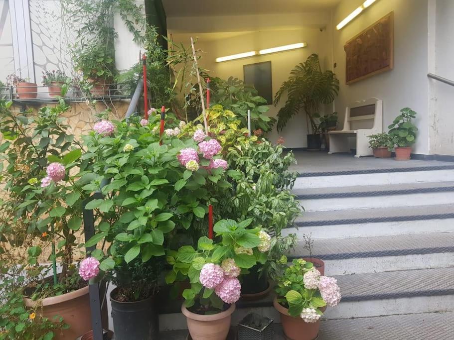 Appartamento Pazari_Ri_Studio Tirana Esterno foto
