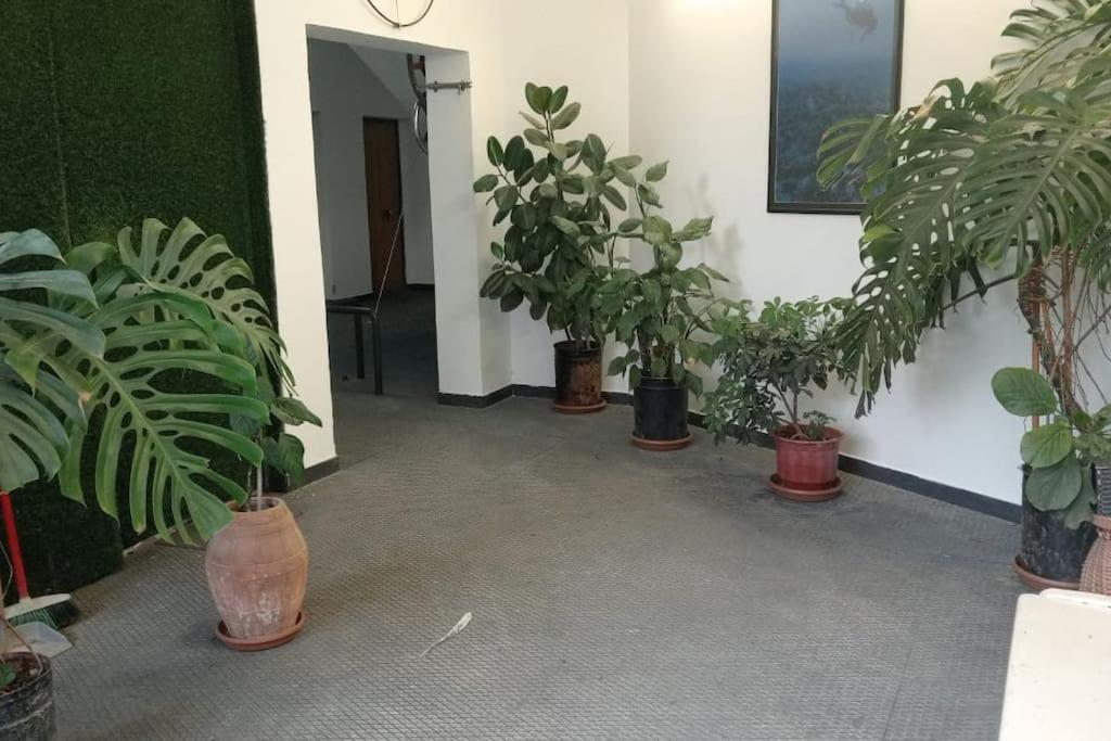 Appartamento Pazari_Ri_Studio Tirana Esterno foto