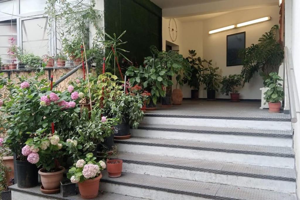 Appartamento Pazari_Ri_Studio Tirana Esterno foto